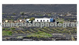 La Geria l Lanzarote